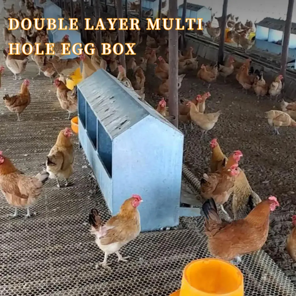 Nid d'oeufs de pondeuse 24 trous double face galvanisé nichoir de poule pondeuse