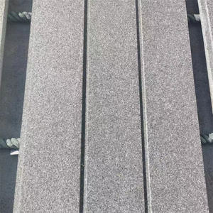 Pavés en granit <span class=keywords><strong>de</strong></span> <span class=keywords><strong>pavé</strong></span> <span class=keywords><strong>pas</strong></span> <span class=keywords><strong>cher</strong></span>, petites pierres pour allée, pavés pour <span class=keywords><strong>rue</strong></span> G399 600x600x20mm, pavés en maille - Product Image 3