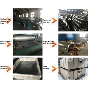 Hoja de grafito flexible <span class=keywords><strong>Shert</strong></span> compuesto de grafito de alta calidad para sellado térmico hoja de grafito expandido con placa SS316L Auto - Product Image 5