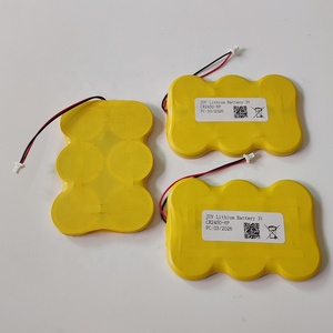 Piles <span class=keywords><strong>Cr</strong></span> <span class=keywords><strong>2450</strong></span> de haute qualité 3.0v 1800mah 3600mah Cr2450-2p Cr2450-3p Cr2450-6p 3v Pile bouton au lithium - Product Image 3