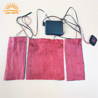 Almohadillas Calefactoras Eléctricas de Fibra de Carbono USB 5V, Personalizadas y Profesionales, para Ropa, Chaquetas, Chalecos y Abrigos