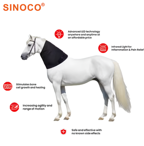 Dernière conception d'équipement vétérinaire Ceinture de récupération de thérapie équine à lumière infrarouge <span class=keywords><strong>pour</strong></span> cheval anti-douleur - Product Image 6