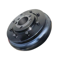 Accouplement de pneu en acier rigide Eupex avec limiteur de couple pour usage industriel