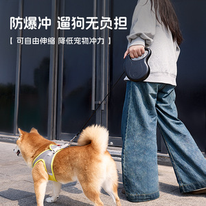 Correa retráctil para mascotas, control con un botón, a prueba de explosiones, correa segura para pasear perros, en stock, venta al por mayor transfronteriza, correa - Product Image 4