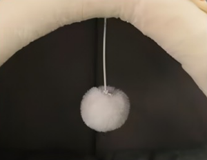 Lit pour chat en polycoton, niche pour petits animaux, lit pour animaux de compagnie, hiver, luxe, floral, confortable, portable - Product Image 4