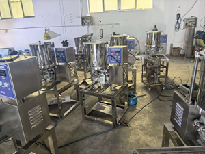 Machine automatique de formage de nuggets de poulet, de crevettes et de filets de poisson pour tempura avec composant moteur central - Product Image 4