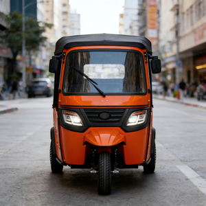 Triciclo para Adultos Bajaj Keke, Carrocería Abierta, Certificado EEC, 60V 1000W, 400kg, 5 Pasajeros - Product Image 5