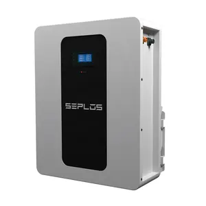 Seplos 공장 직접 폴로-w 48v 100ah 5kw Lifepo4 벽 장착 리튬 배터리 에너지 저장 시스템