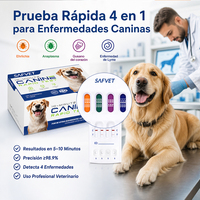 Kit de diagnostic vétérinaire EHR ANA LYM CHW Canino, test antigénique rapide pour Ehrlichia, Anaplasma, Lyme, test de détection de la larve du fil des sangs pour chien