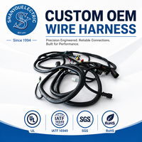 Kabel Harness Kustom OEM JST PH2.0 IP66 untuk Mobil, Motor & Komputer - Perakitan Kabel PVC/Tembaga Berlapis Timah IATF16949