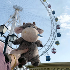 Peluche Super Morbido e Adorabile Grigio e Marrone a Forma di <span class=keywords><strong>Asino</strong></span> con Imbottitura in Cotone PP, Pupazzo da 2m per Macchina Artiglio - Product Image 2