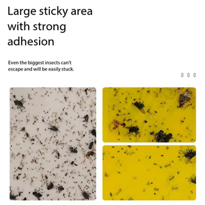 แผ่นกาวดักแมลงแบบ UV Fly Light หลายขนาด แผ่นกาวดักแมลงแบบเปลี่ยนได้ กาวเหนียวแน่น สำหรับการควบคุมศัตรูพืชเชิงพาณิชย์ - Product Image 3
