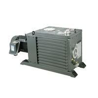 Pompa Vakum Baling-Baling Berputar Mini, BSV-175 160m 3/H 196M 3/H Kapasitas Besar Dua Tahap Langsung Drive
