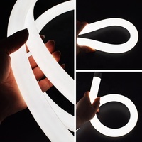 Bande lumineuse néon de plafond à 360 degrés D13 D20 D22 D25 D40, tube lumineux néon LED rond, bande lumineuse néon en silicone RGB RGBW RGB adressable