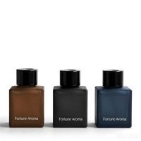 Diffuseurs à roseaux de luxe personnalisés avec logo, désodorisants et parfums d'ambiance en gros