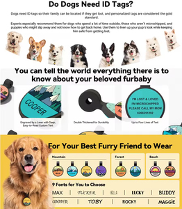 Factory Price Personalized Pet ID Soft Silicone Engraved Dog <b>Name</b> Tag | Durable, Lightweight & Silent Design - Product Image 4
