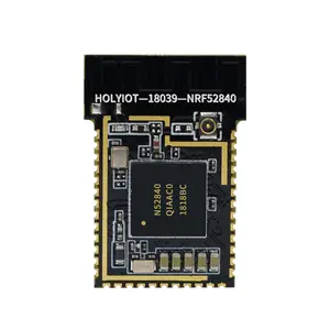 Holyiot OEM/ ODM nRF52840 küçük boyutu düşük güç tüketimi mikro Bluetooth 5.1 Soc kablosuz modülü