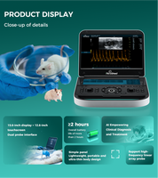 Échographe Doppler Couleur Vétérinaire Periodmed : Imagerie HD pour le dépistage abdominal, cardiaque et des tissus mous chez les petits animaux