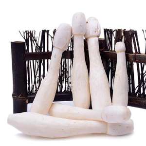 Extracto de <span class=keywords><strong>Coprinus</strong></span> <span class=keywords><strong>Comatus</strong></span> Shaggy Mane, Polvo de Polisacárido Beta Glucano, Impulso de Energía - Product Image 4