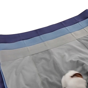 กางเกงในบ็อกเซอร์สำหรับผู้ชายผ้าไอซ์ซิลค์กางเกงชั้นในไร้รอยต่อสำหรับผู้ชายชุดชั้นในดีไซน์เนอร์ - Product Image 2