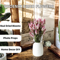 Bouquet de fleurs séchées naturelles Phoenix, feuilles, style Instagram, pour la fête des mères, Pâques, accessoires de photographie pour fenêtre, décoration intérieure