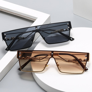 Occhiali da Sole Polarizzati Nuovo Stile 2025, Bestseller Transfrontaliero, Monopezzo Antivento UV400 con Dettagli Fantasia Ghepardo e Montatura in Metallo - Product Image 2