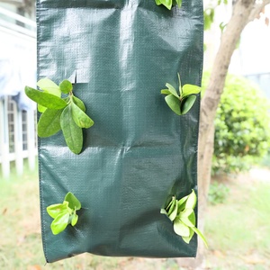 Sacs de culture pour fraises, sacs de culture suspendus pour jardin, jardinière suspendue pour fraises avec poches de plantation - Product Image 6