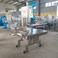 Mesin Gergaji Pemotong Daging dan Tulang Listrik Industrial DJ250, Peralatan Pengolah Daging Beku, Pemotong Tulang, Peralatan Tukang Daging