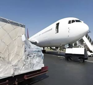 Servicio Seguro <span class=keywords><strong>de</strong></span> Transporte Aéreo Puerta a Puerta para Tallados en Piedra a Arabia Saudita, con <span class=keywords><strong>Seguimiento</strong></span> en Tiempo Real y Entrega DDP - Product Image 3