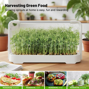 Kostengünstigeres Garten-Starter-Set Smartes Hydroponik-System für Salat und Kräuter für den Innenanbau - Product Image 4