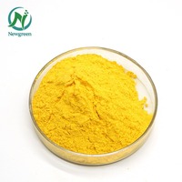 Poudre de melon ou poudre de fruit de melon de haute qualité fournie par l'usine Newgreen