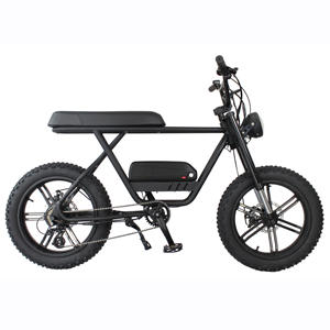 Elektrik sepeda elektronik Vintage <span class=keywords><strong>2</strong></span> kursi, sepeda listrik <span class=keywords><strong>2</strong></span> roda 20 "Ebike Trekking E olahraga - Product Image 5