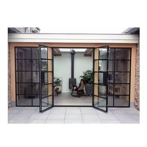 Tùy Chỉnh Hiện Đại Tư Nhân Giả Mạo Pháp Cửa Kính Sang Trọng Kết Thúc Chất Liệu Sắt Matt Màu Đen Đu Phong Cách Nội Thất Nhập Thép - Product Image 5