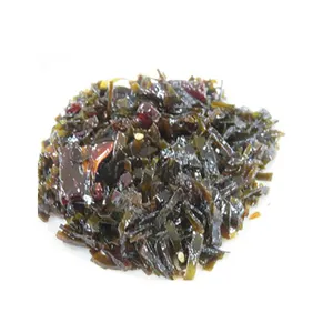 Wholesale Premium Seafood Kelp Products Dashi Kombu Green Seaweed Buyers