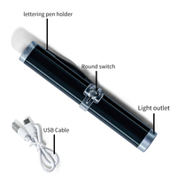 Pointeur laser porte-clés ultra-portable avec lentille Starlight | Prix Direct Maker et conception de charge compacte