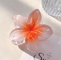 Pince à cheveux à l'acide acétique Finesryle nouvelle couleur fleur d'empreinte d'oeuf accessoires de cheveux pour femmes élégantes couleur pince de requin personnalisable