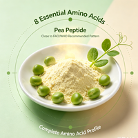 Poudre de peptides de protéines de pois non-OGM, à base de plantes, pour la nutrition sportive et ingrédient végétalien hypoallergénique