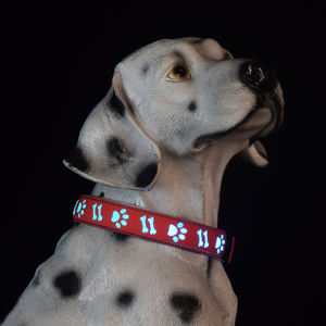 UMIONE, el más nuevo patrón personalizado, diseño 3D, <span class=keywords><strong>Collar</strong></span> de perro <span class=keywords><strong>LED</strong></span>, accesorios de tela para perros para caminar al aire libre nocturno, <span class=keywords><strong>Collar</strong></span> <span class=keywords><strong>LED</strong></span> para mascotas iluminado - Product Image 1