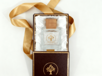 Flacon pulvérisateur de parfum écologique et recyclable de 100 ml, forme carrée transparente, style moderne, diffuseur à bâtonnets, impression sérigraphique, couleur personnalisée