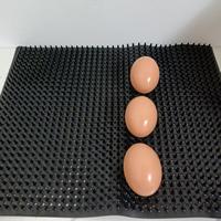Coussinets de nidification en PVC pour volailles, pour poulaillers, pour la ponte des œufs, nouvelle litière pour poulaillers