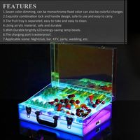 Nouveau créatif dégradé acrylique clair en plastique valise bijoux collations bouteilles de vin présentoir fruits Biscuit viande LED mallette
