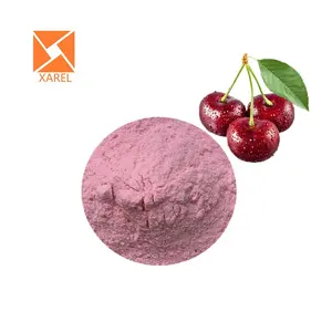 Polvo de fruta de cereza Acerola orgánica Polvo de jugo de cereza