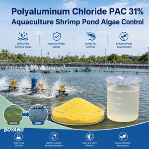Cloruro de Polialuminio PAC 31%, Coagulante de Grado Potable, Control de <span class=keywords><strong>Algas</strong></span> en Estanques de Acuicultura y Camarones - Product Image 1
