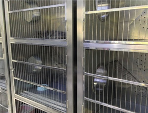Hot Selling Stainless Steel Pet <strong>Cages</strong> <strong>for</strong> Cat <strong>Small</strong> Dog Shop <strong>Animal</strong> Clinic Veterinary Hospital Cat Crates Modular <strong>Cages</strong> - Product Image 2