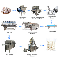 Ligne de production de pâte d'ail à haut rendement et à fonctionnement continu pour les fournisseurs de services de restauration