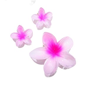 Nuovo arrivo 3 pezzi Set di artigli per capelli con fiore d'uovo colore sfumato per uso quotidiano alla moda o accessori per capelli da vacanza - Product Image 1