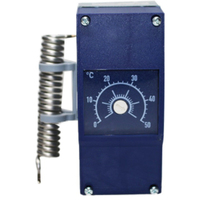 Contrôleur de température PLC Heat Therm-at 603070/0002-6, vente en gros, neuf, original, automatisation industrielle, contrôle programmable PLC