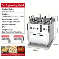 Cuiseur à pâtes à gaz en acier inoxydable 9 trous double combustible avec panier de 14 cm, contrôle intelligent de la chauffe, levage automatique, cuisson instantanée des pâtes