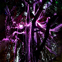 Arbre en fibre optique Avatar RGBW LED, éclairage en fibre optique, arbre en saule en fibre optique étanche pour la décoration de paysages et de jardins