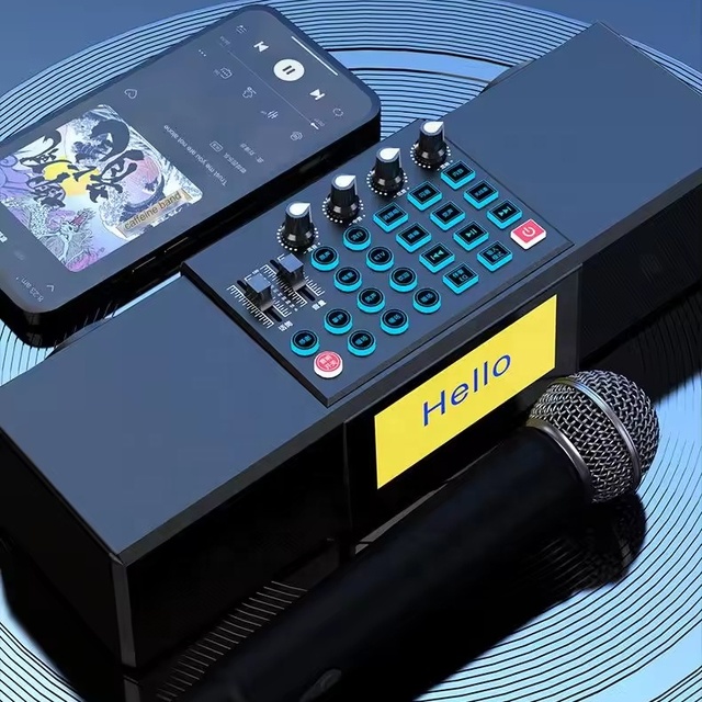 Karaoke Sound Card with Microphone bluetooth Speaker All in One Machine Lyrics Display Family Ktv for Twitter/Youtube/Tiktok